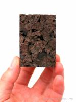 Tillandsia parafa - epifita lap 01.