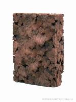 Tillandsia parafa - epifita lap 01.}