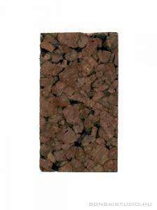 Tillandsia parafa - epifita lap 02.