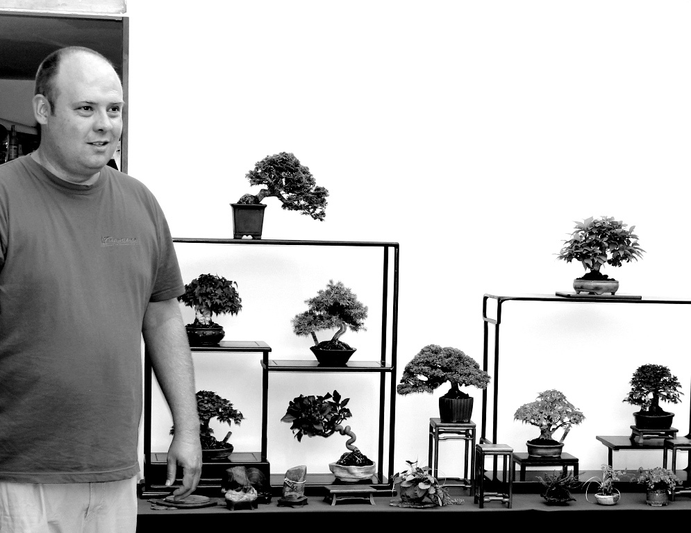 andras marczika andras bonsai trader and collector the marczika bonsai studio garden owner